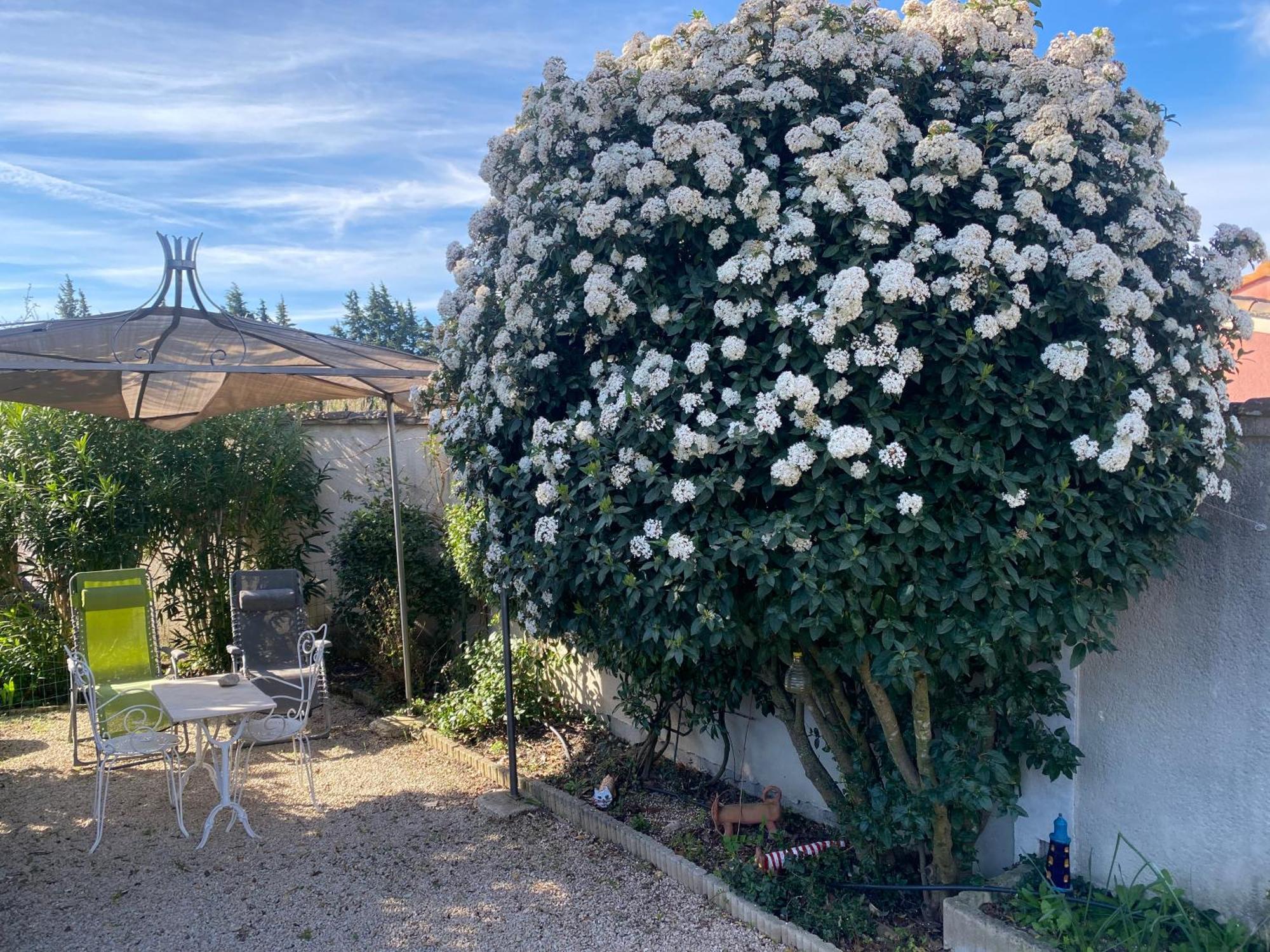La Roubine, Velleron Villa Eksteriør bilde
